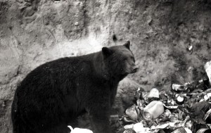 Bears Crater Lake 8-4-69 151 008