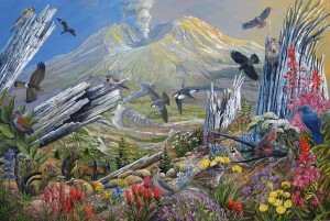 Nature Returns to Mount St Helens by Larry Eifert