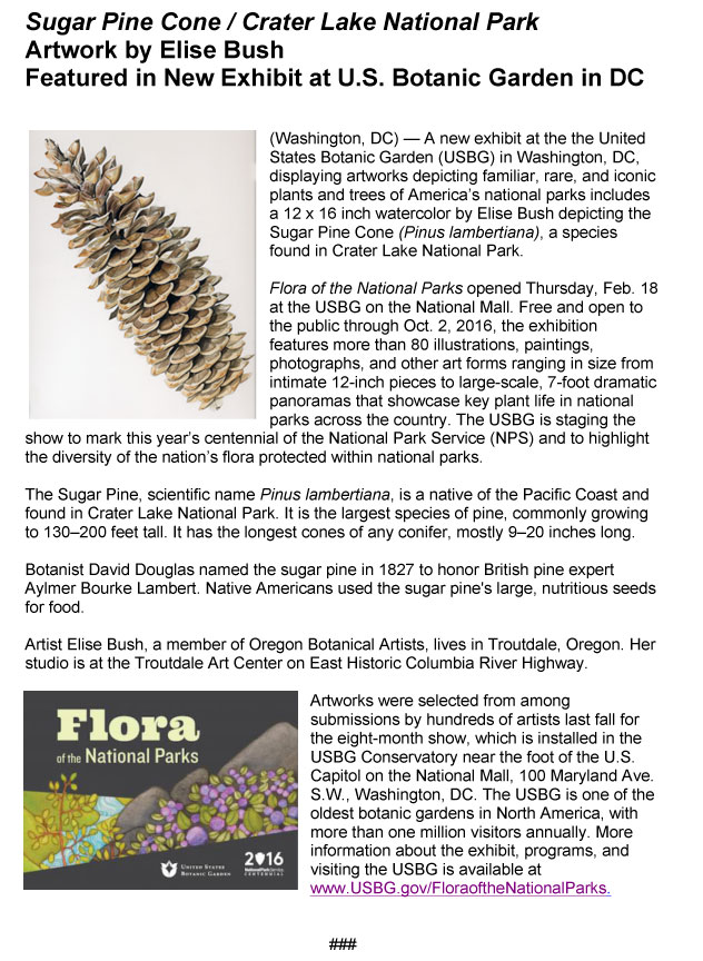 Flora-of-the-National-Parks---Elsie-Bush-announcement