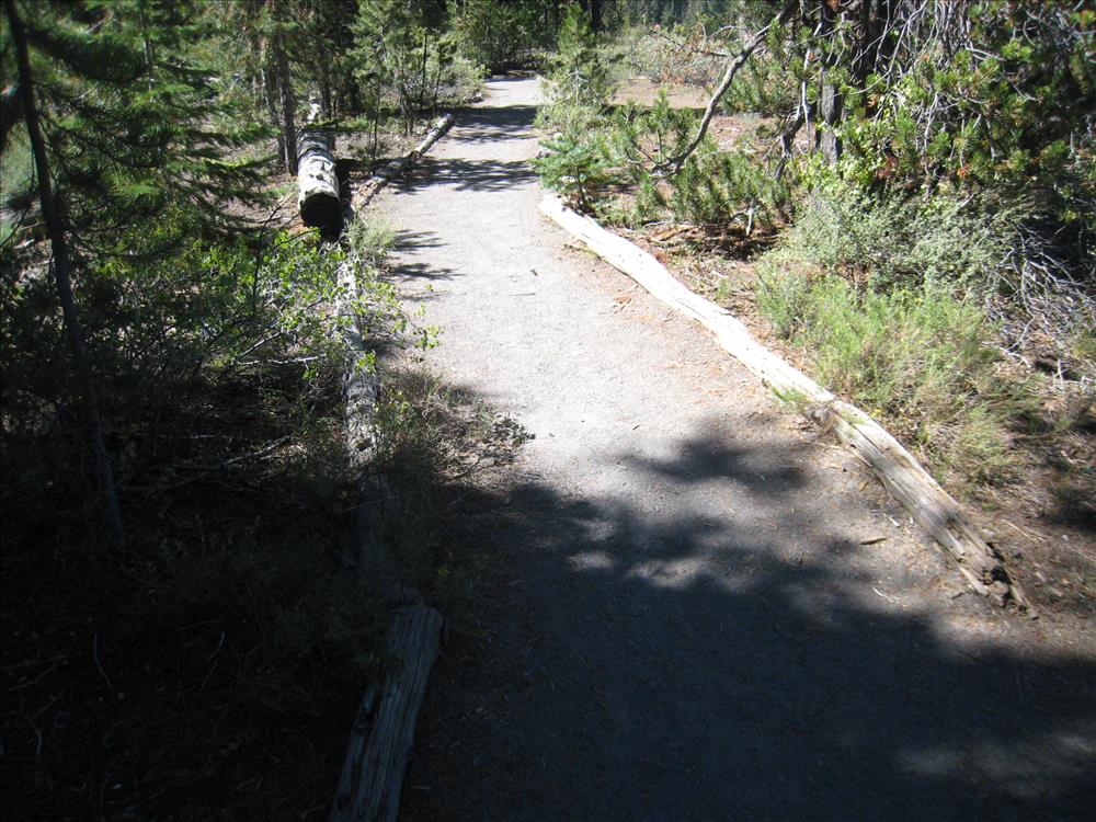 Pinnacles Trail Edging Replacement - Vegetation Overgrowth Jennifer Gifford 2015