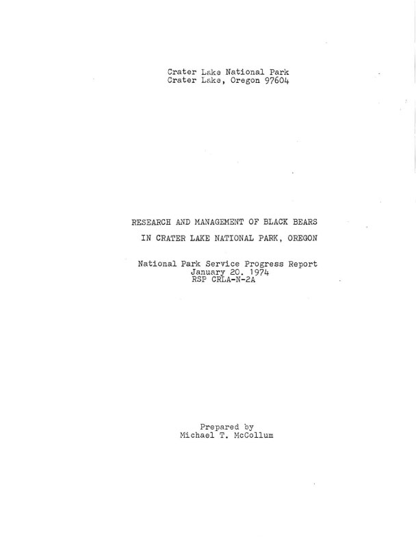 black-bears-1