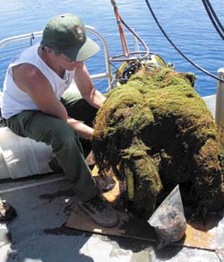 Moss from the bottom of Crater Lake