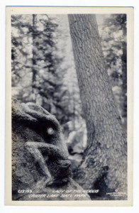 Title: Lady of the Woods, Crater Lake Nat'l Park Postmark: Port. & ? (difficult to read) Stamp: 1 cent Card Number(s): C13159 Photographer: Sawyer Scenic Photos, Inc., Portland, Ore. Publisher: Sawyer Scenic Photos, Inc., Portland, Ore.