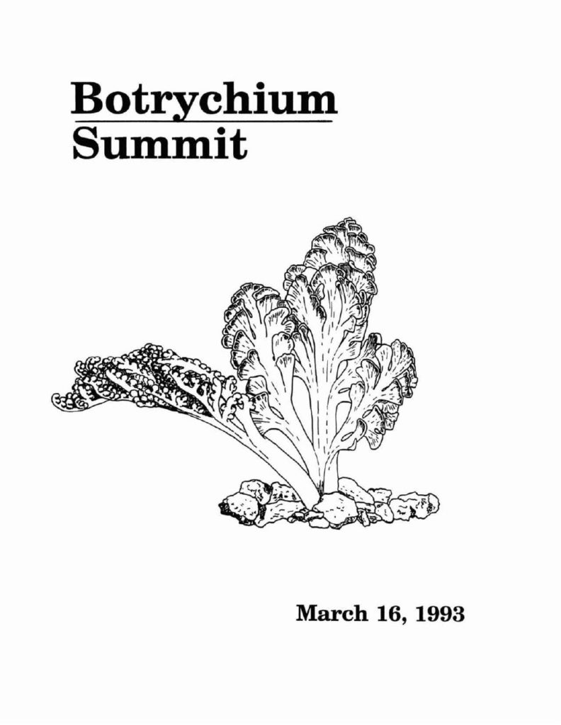 Botrychium Summit paper – 1993