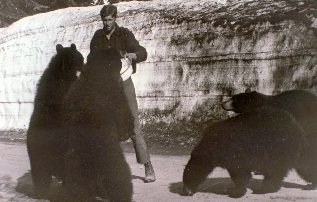 Research and Management of Black Bears in Crater Lake National Park, Oregon, 1974