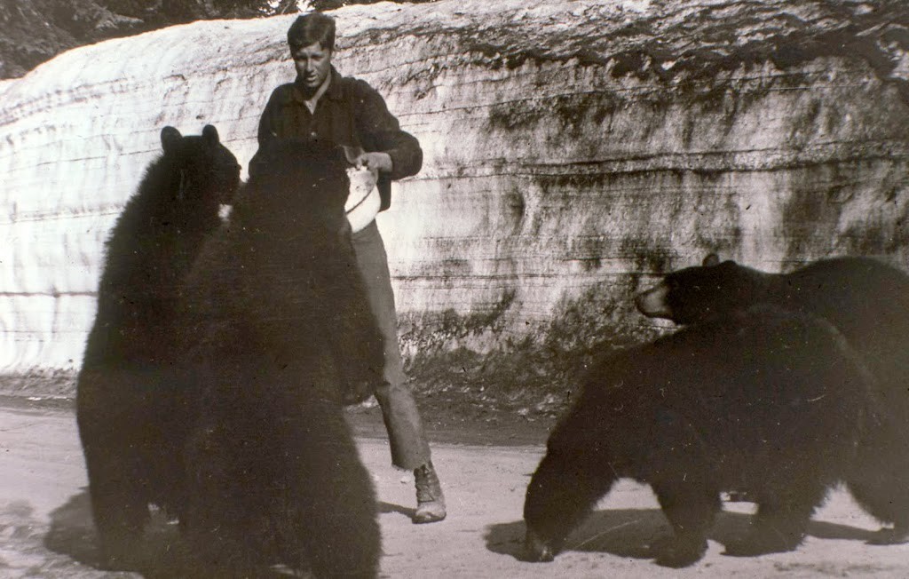 Animals Found at Crater Lake