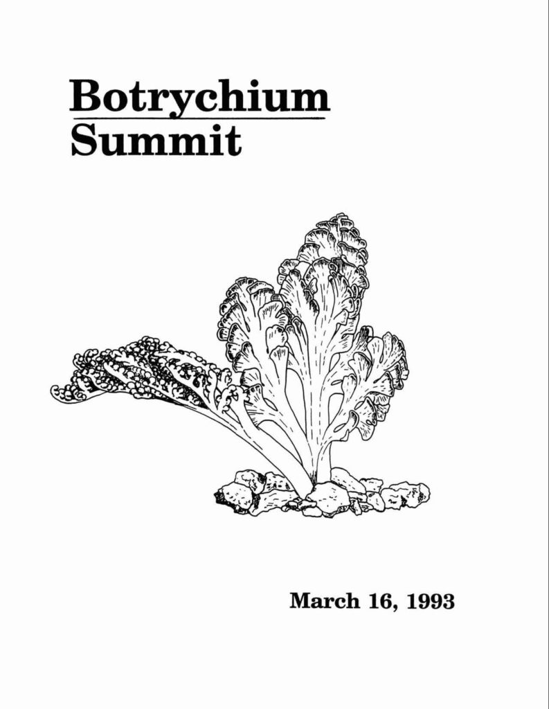Botrychium Summit – 1993