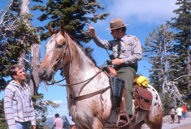 Naturalists – Larry Smith, 1961 – 1985