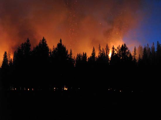 12730 – Prescribed Fire
