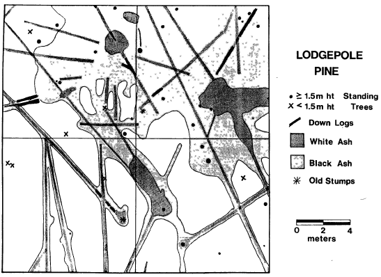 Initial Effects of Prescribed Fire in a Climax Pinus contorta forest: Crater Lake National Park – 1980